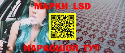 mdpv Гатчина