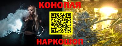 сатива Гагарин