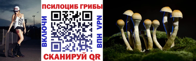 где можно купить наркотик  Кисловодск  Псилоцибиновые грибы Psilocybe 