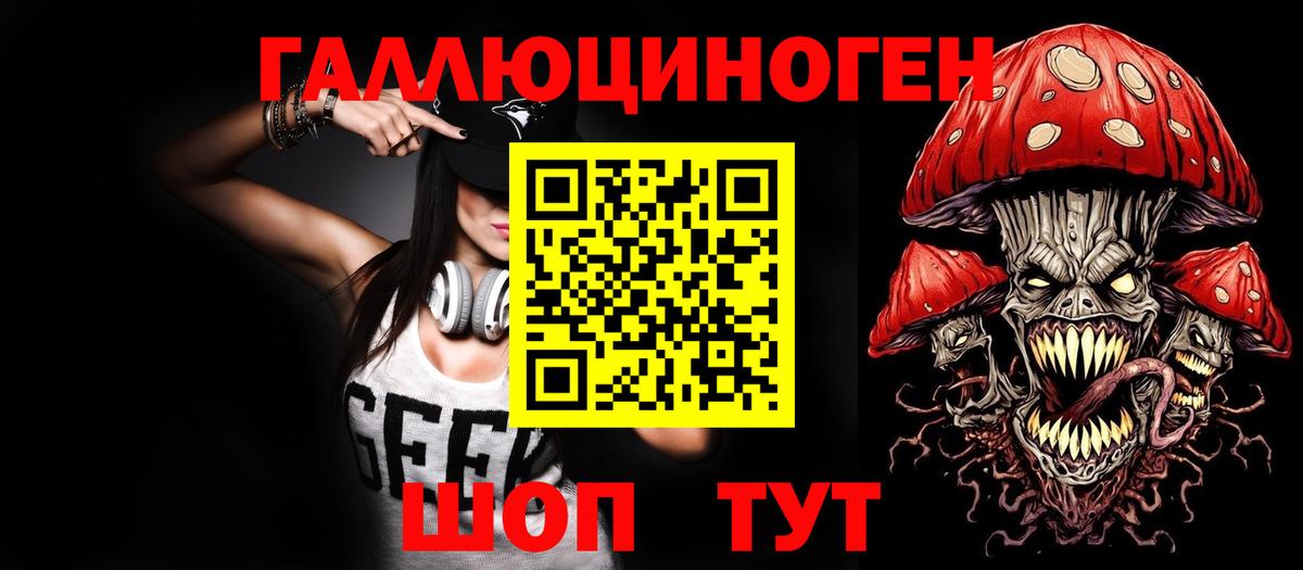 Псилоцибиновые грибы Psilocybine cubensis Кисловодск
