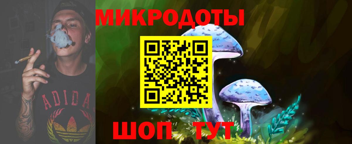 Галлюциногенные грибы мицелий  Вход с VPN  Кисловодск 