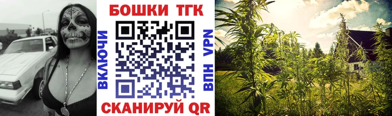 где найти наркотики  mega ссылка  Бошки марихуана конопля  Кисловодск 